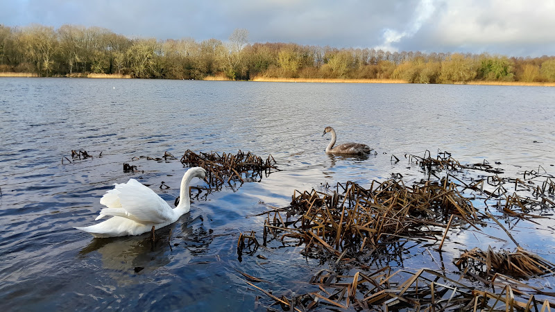 Coate Water Country Park — Source image
