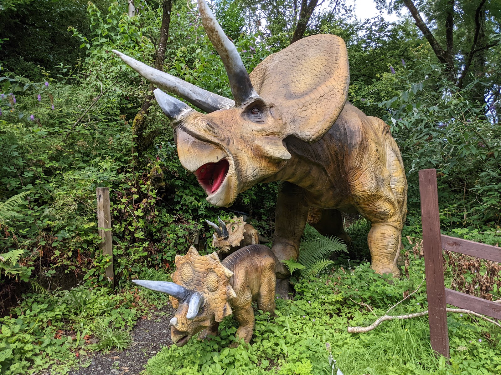 Combe Martin Wildlife & Dinosaur Park