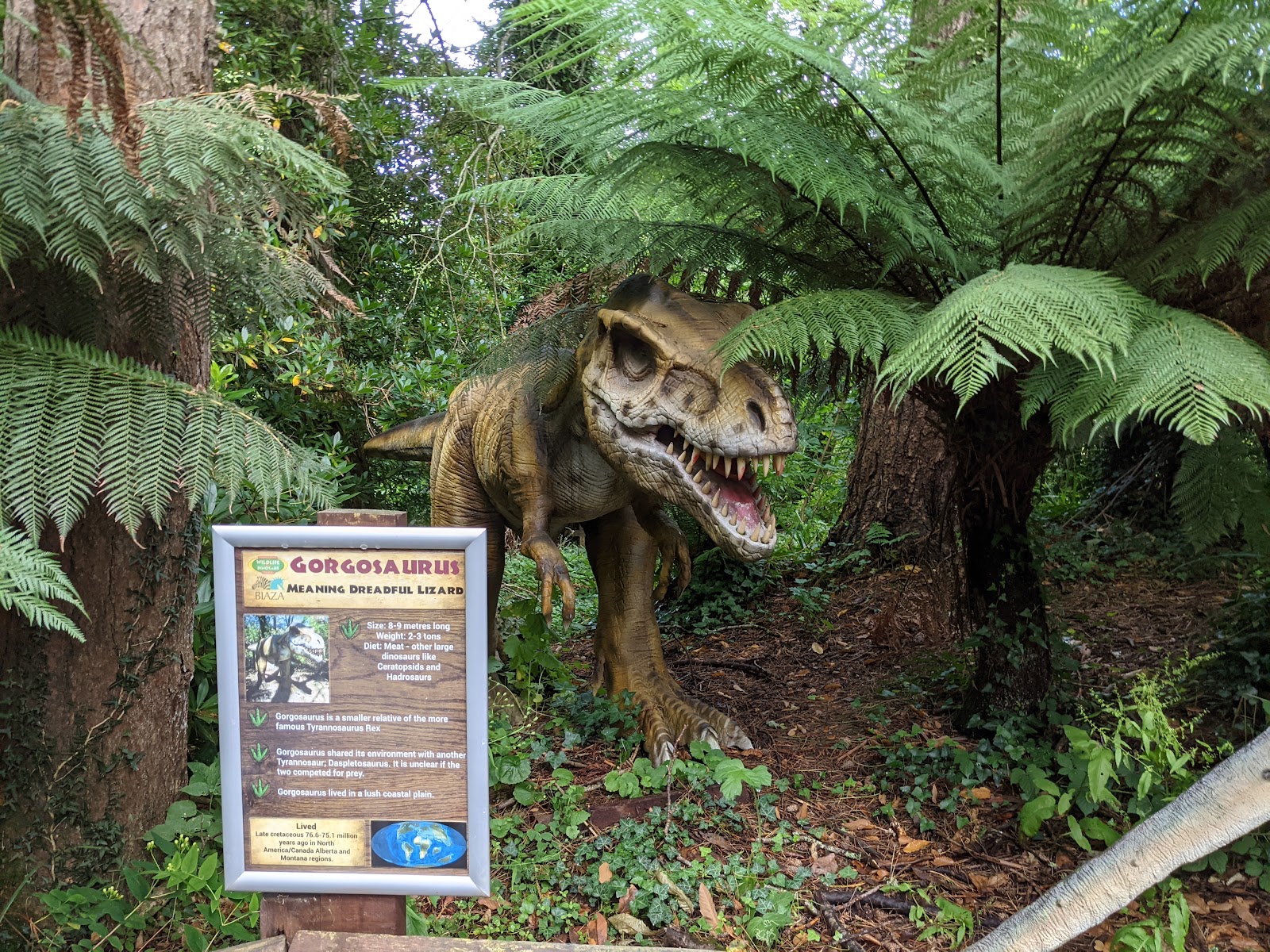Combe Martin Wildlife & Dinosaur Park