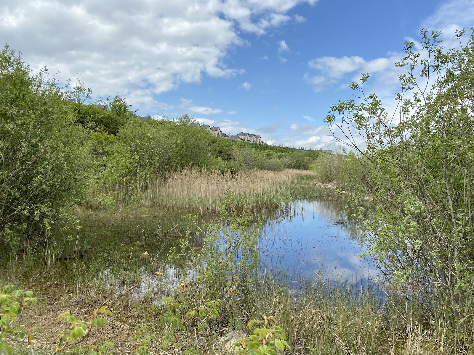 Corby Old Quarry ‘Gullet’ (The Gulley) — Place photograph