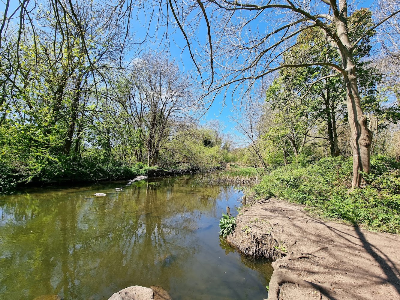 Crane Park Island, London Wildlife Trust — Source image