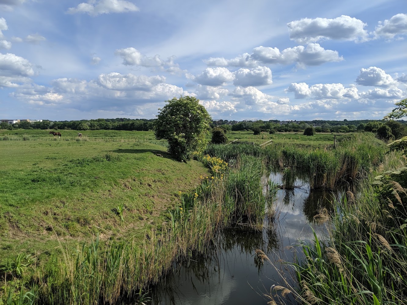 Crossness Nature Reserve — Source image