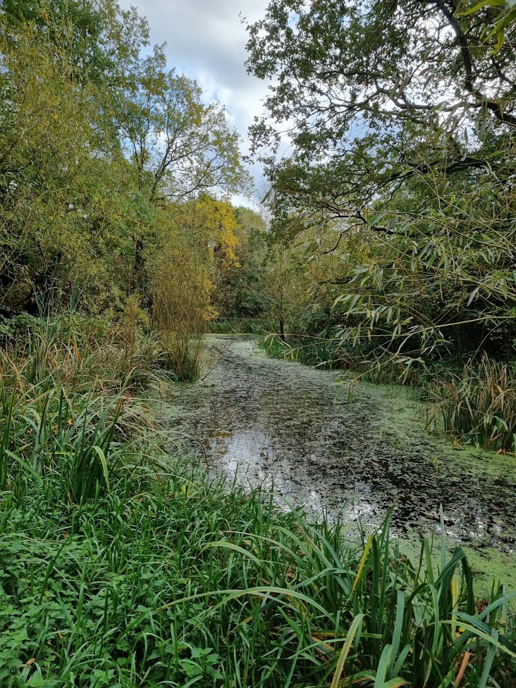 Dacres Wood Nature Reserve — Source image