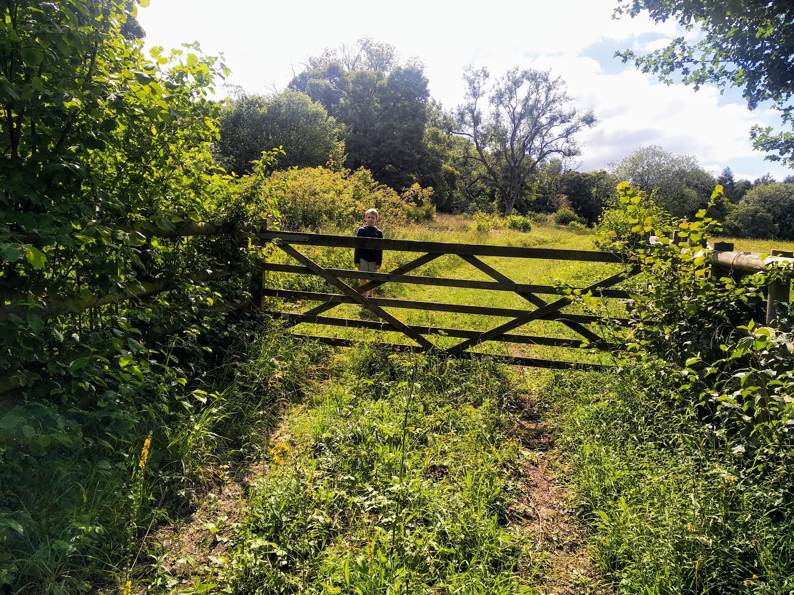 Dancersend Nature Reserve — Place photograph