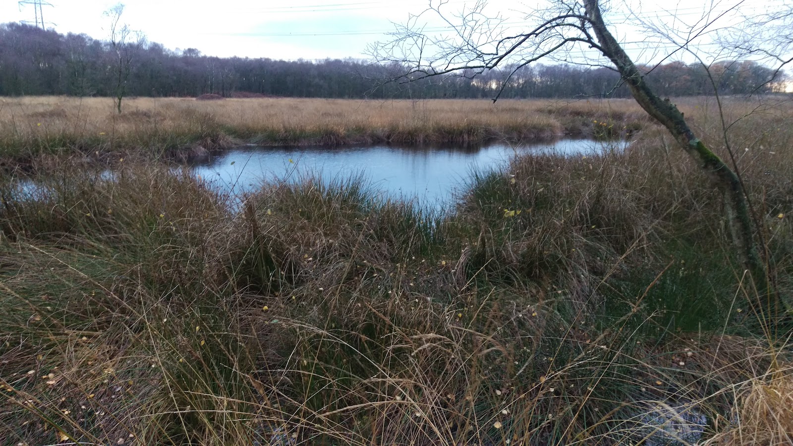Danes Moss Nature Reserve — Place photograph