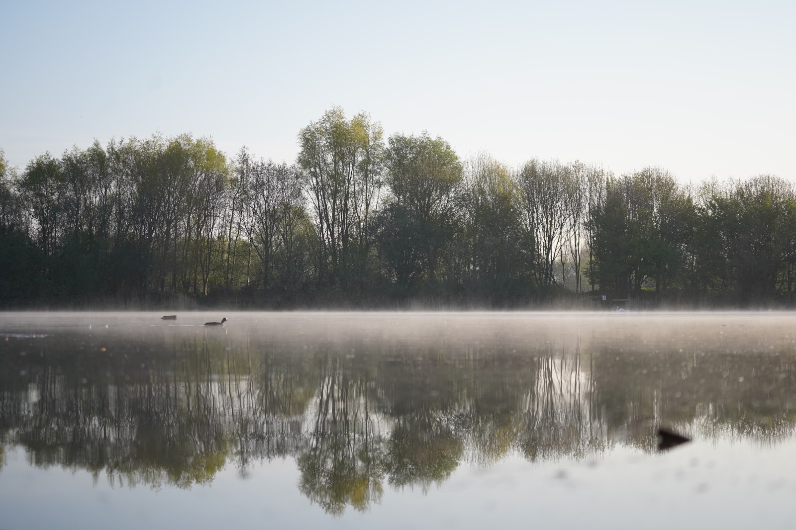 Dishley Pool — Place photograph