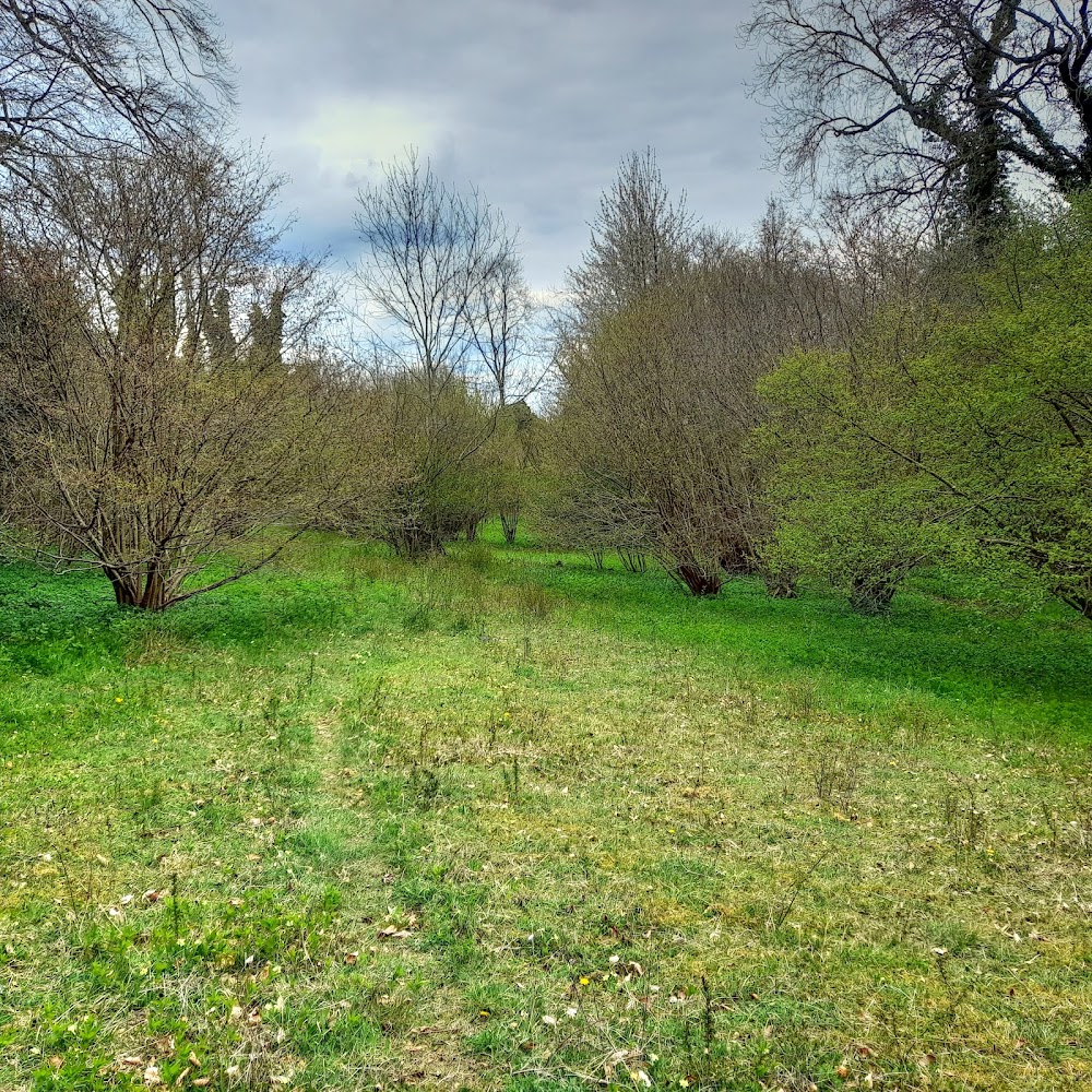 Downe Bank — Source image