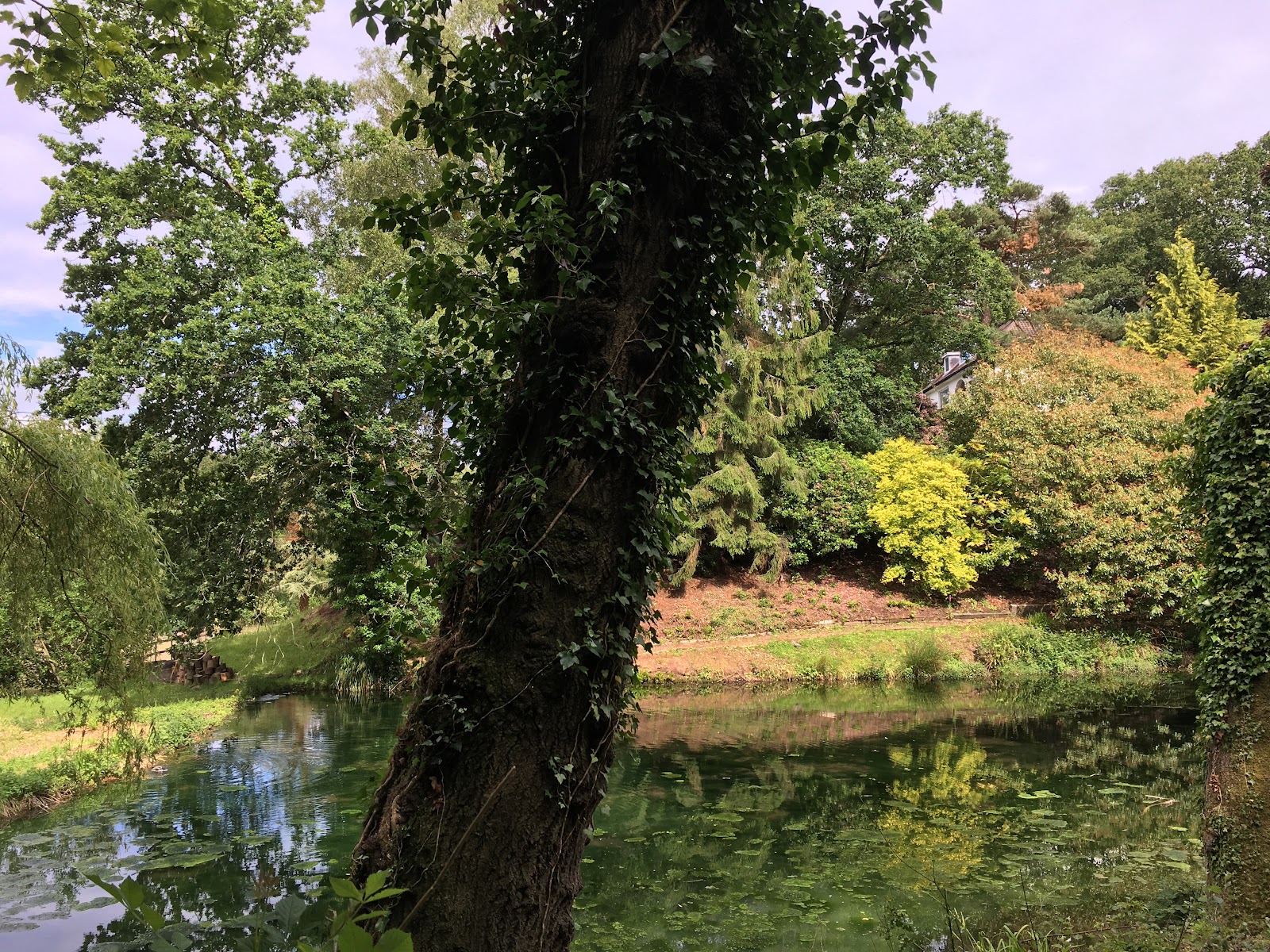Drew's Pond Nature Reserve — Place photograph