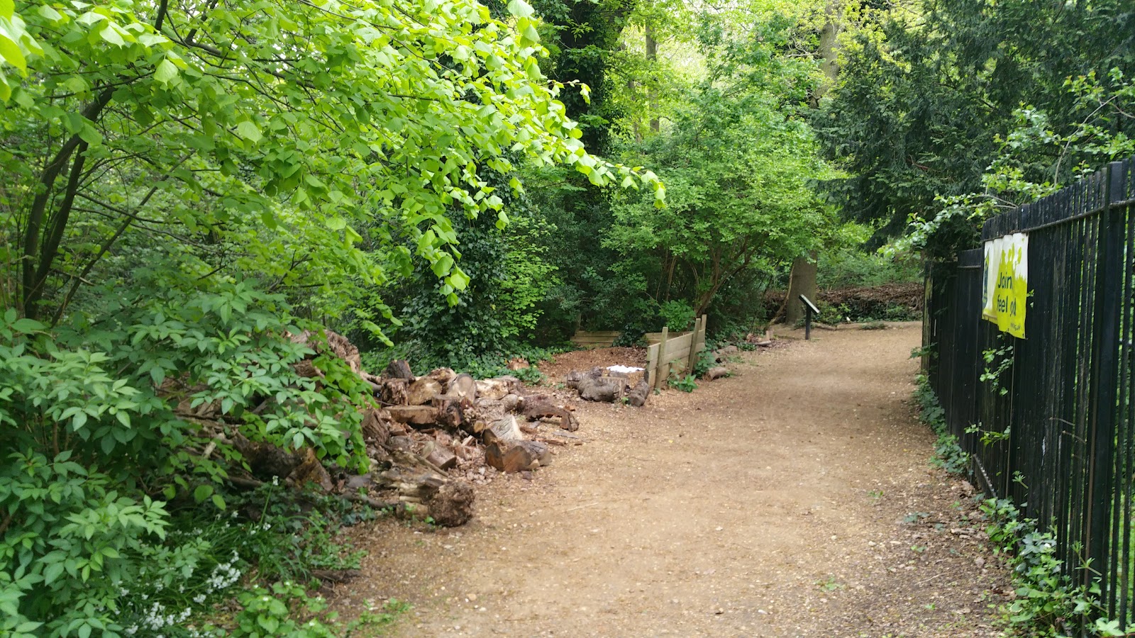 Dulwich Upper Wood — Source image