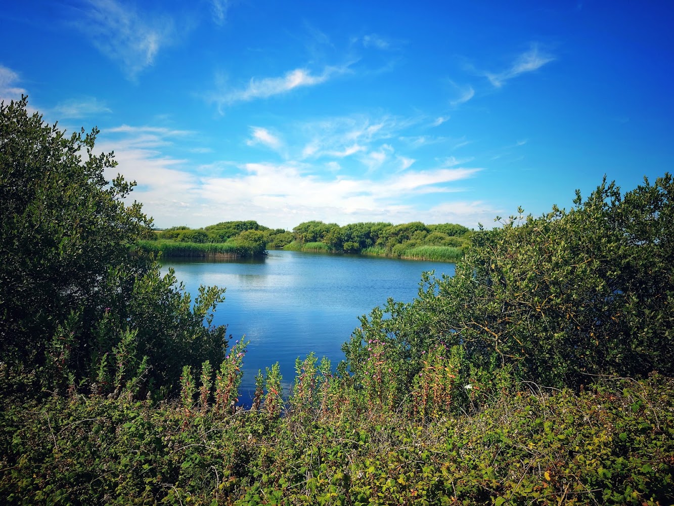 Dungeness National Nature Reserve — Source image