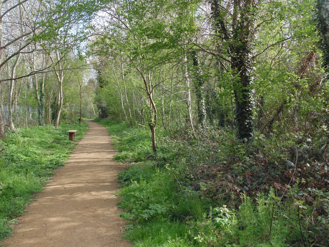 Eardley Road Sidings Nature Reserve — Source image