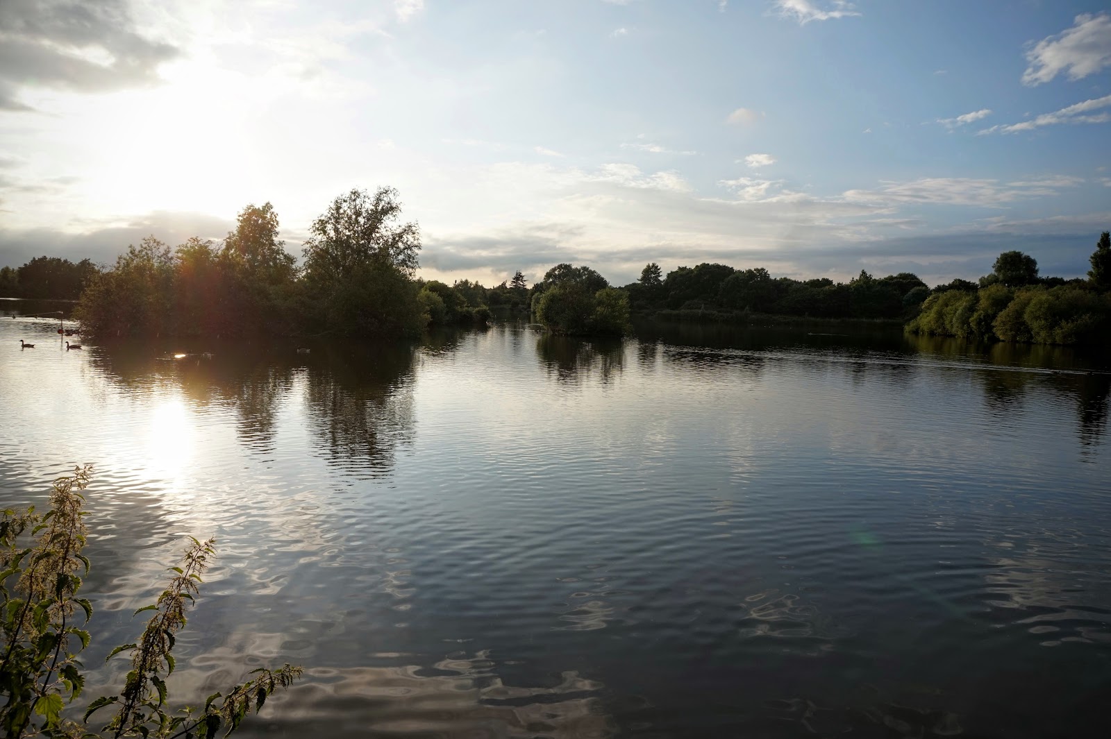 Eastbrookend Country Park — Place photograph