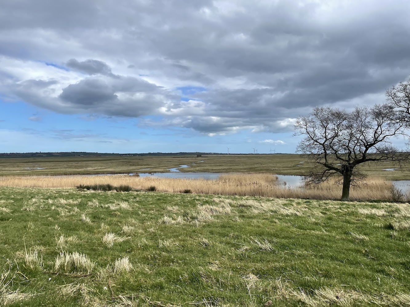 Elmley National Nature Reserve — Source image