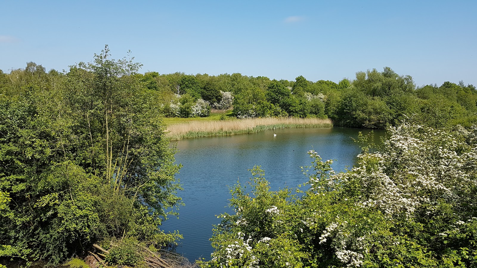 Essex Wildlife Trust Fingringhoe Wick Nature Discovery Park — Source image