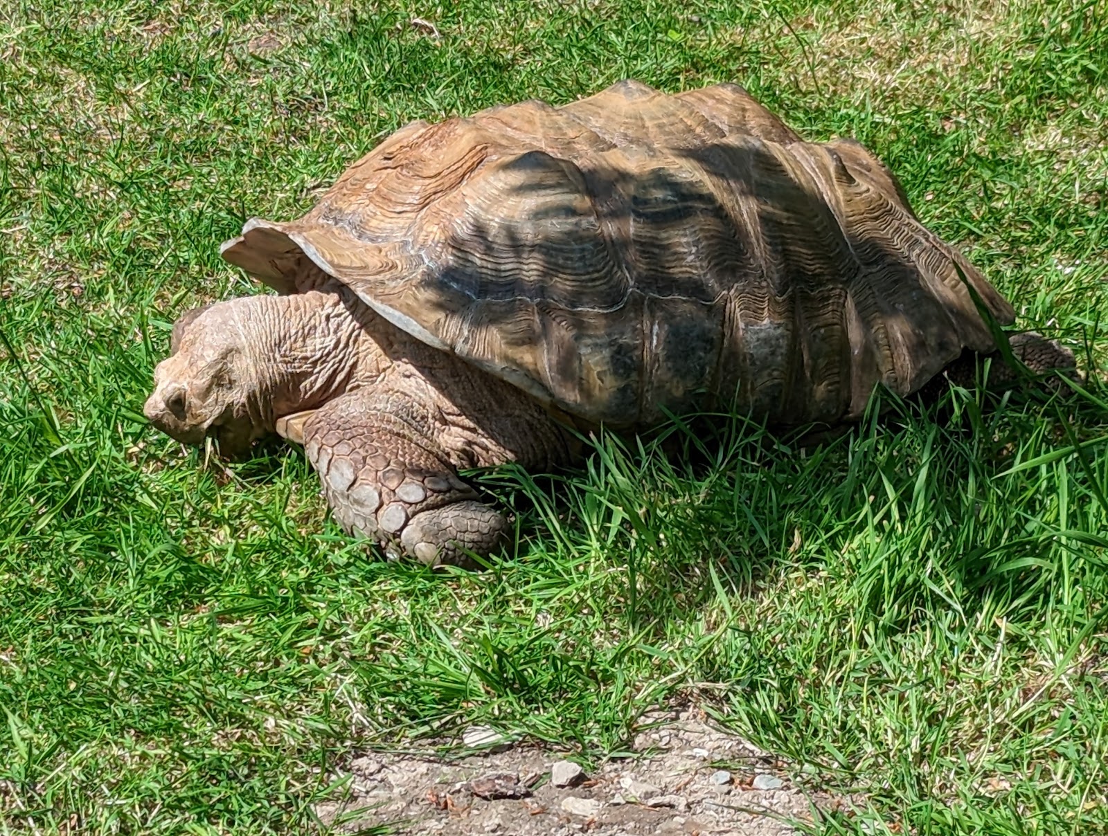 Exmoor Zoological and Conservation Centre — Place photograph