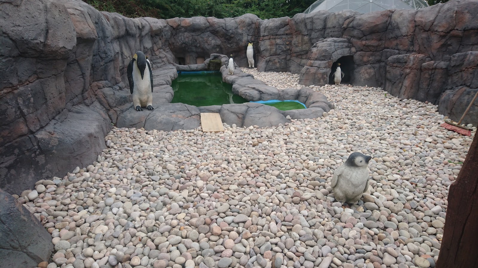 Exotic Zoo Wildlife Park — Place photograph