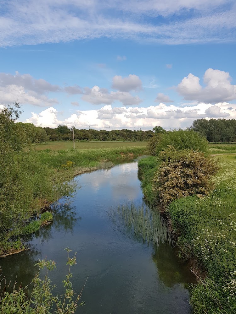 Floodplain Forest Nature Reserve — Source image