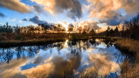 Foulshaw Moss Nature Reserve