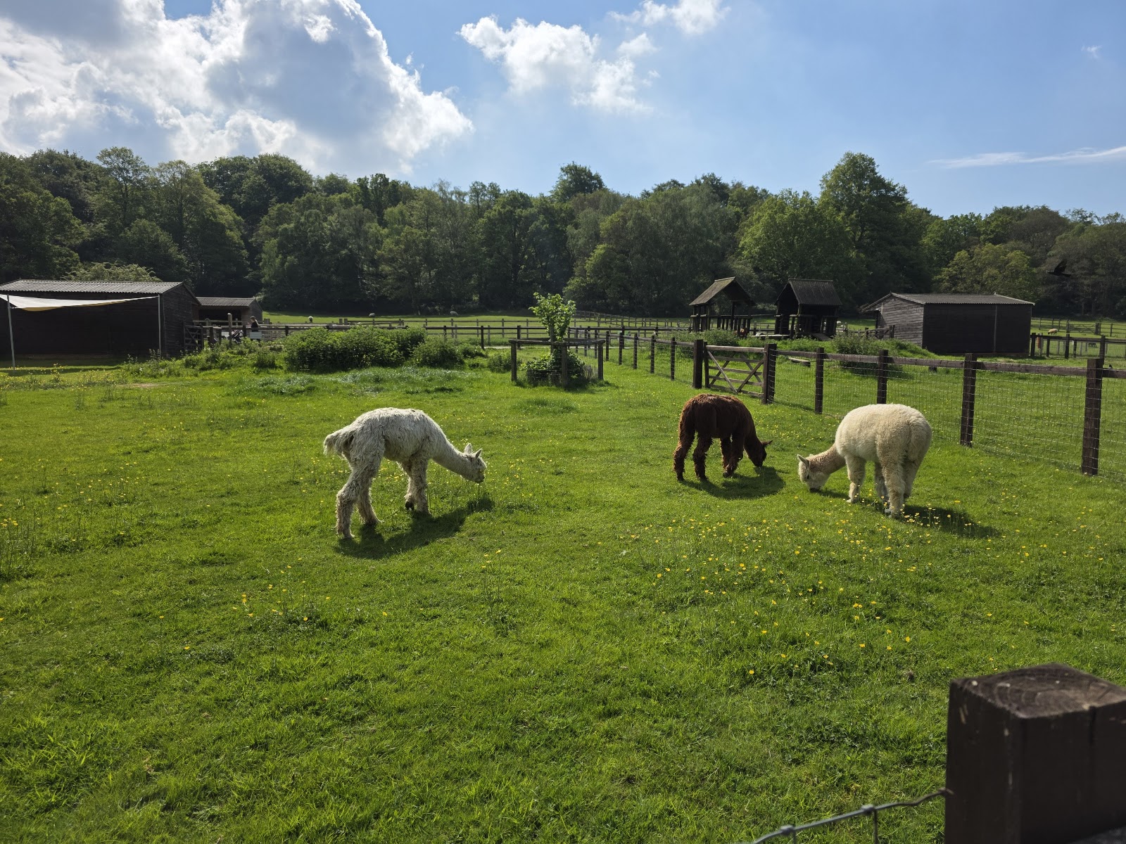 Foxburrows Farm – Hainault Forest — Place photograph