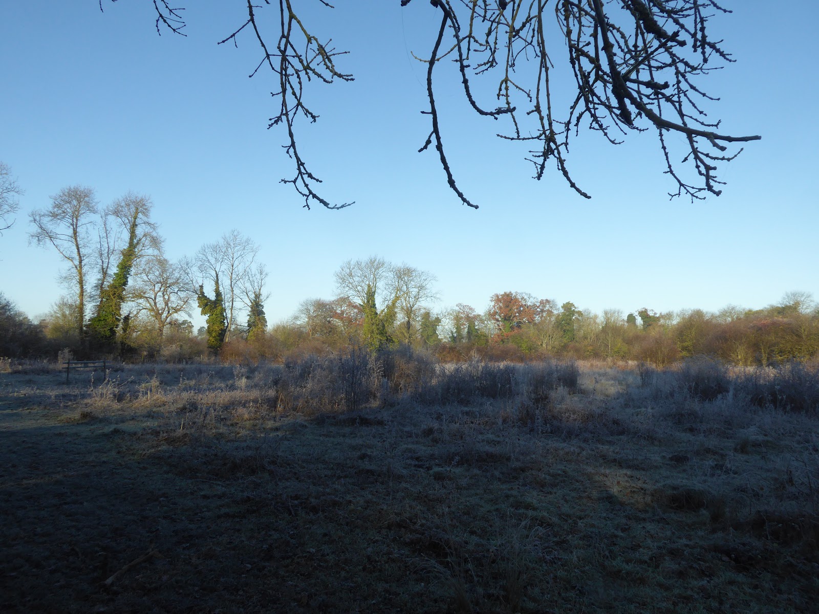 Fulbourn Fen — Place photograph