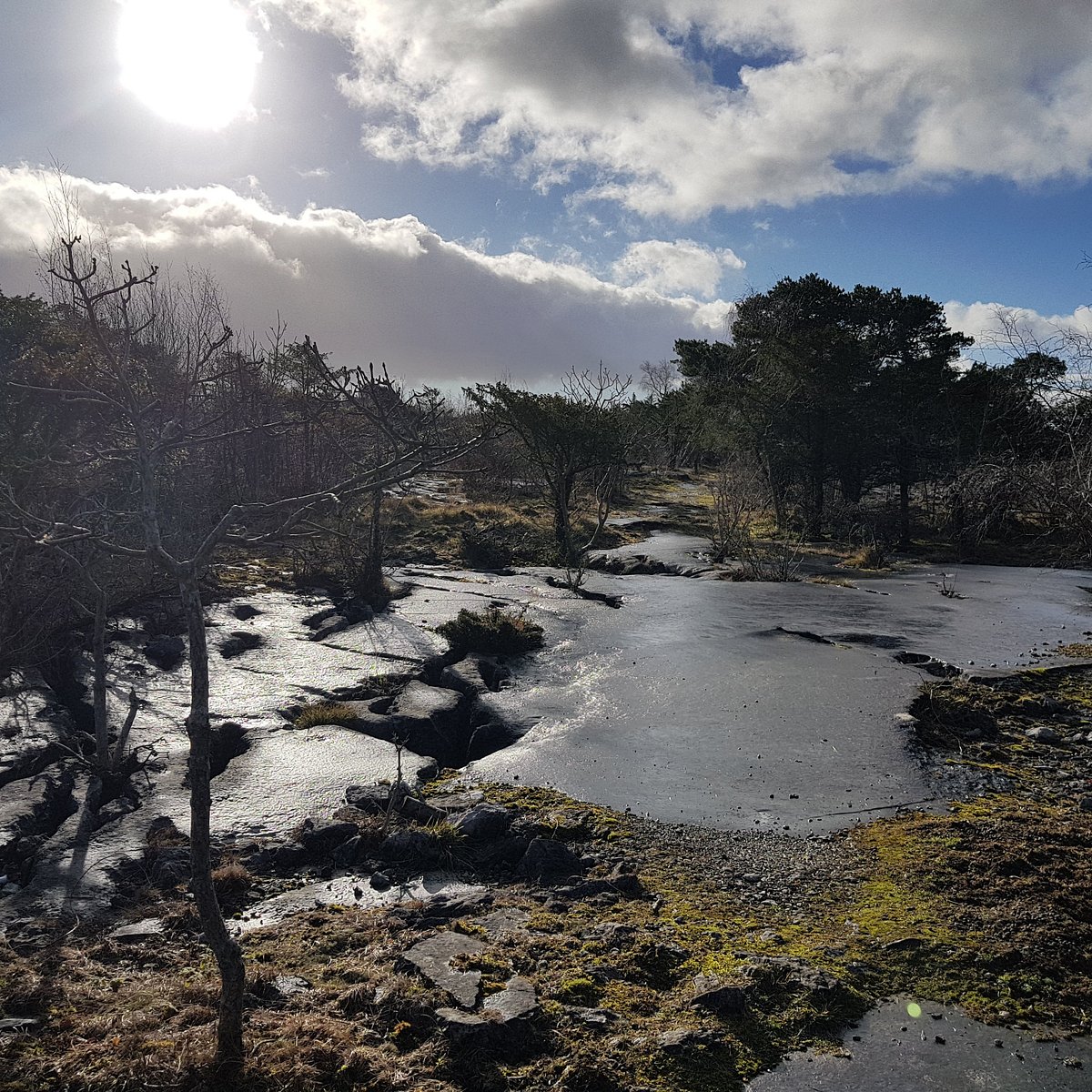 Gait Barrows National Nature Reserve — Place photograph