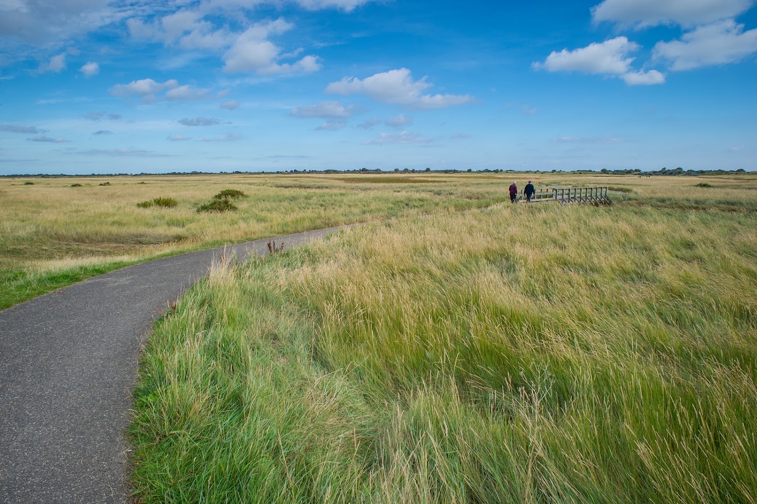 Gibraltar Point National Nature Reserve — Source image