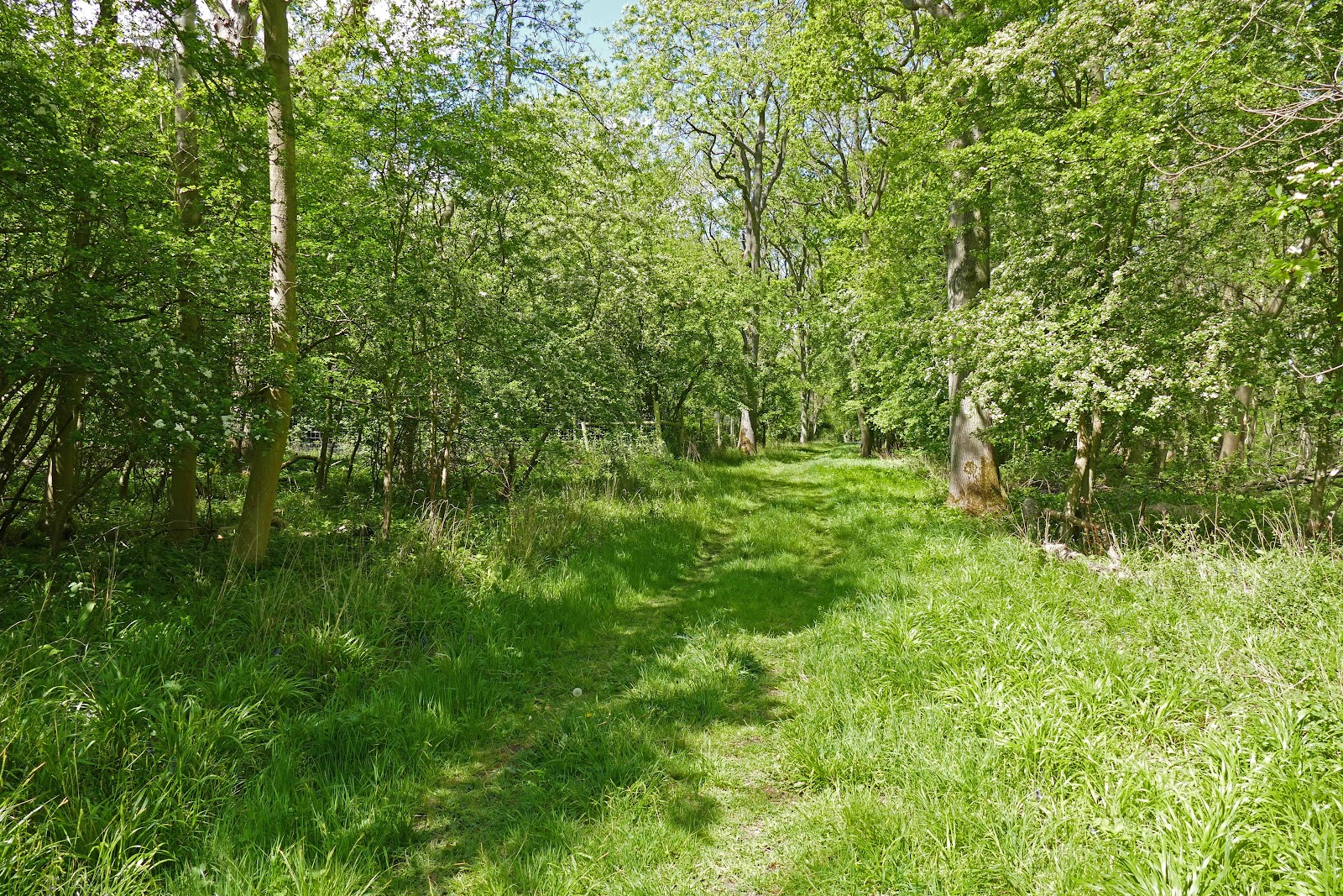 Glapthorn Cow Pastures — Place photograph