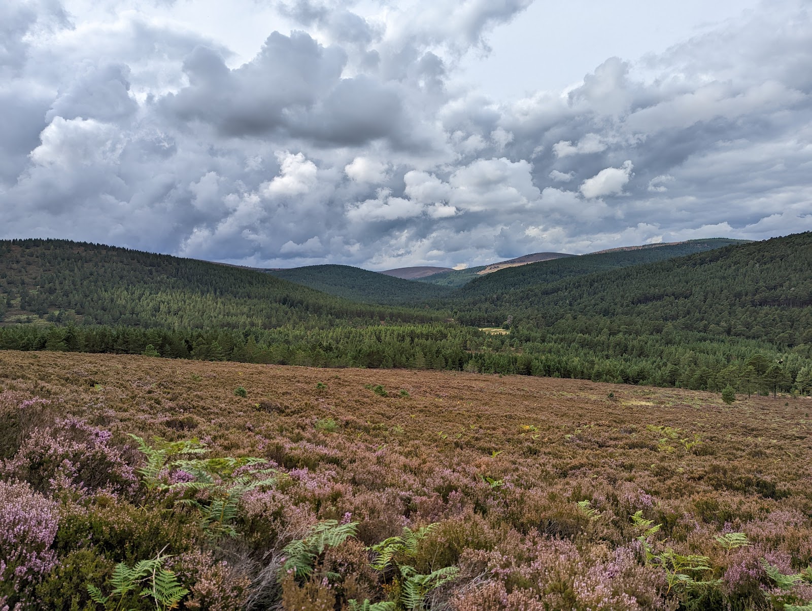 Glen Tanar National Nature Reserve — Place photograph