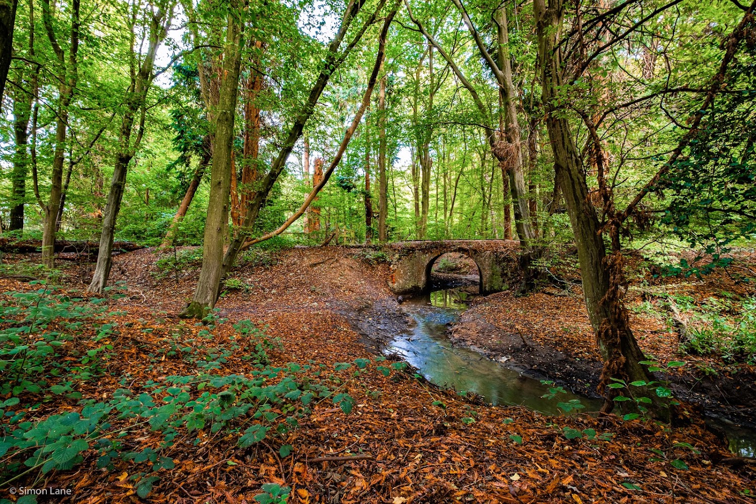 Gobions Wood Nature Reserve — Source image