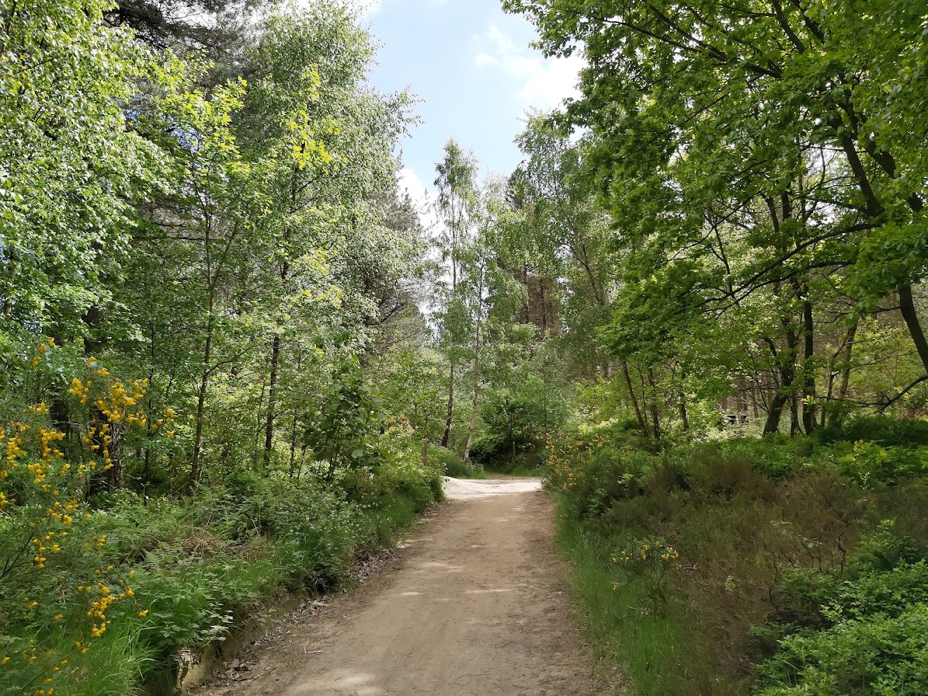 Greno Woods Nature Reserve — Source image