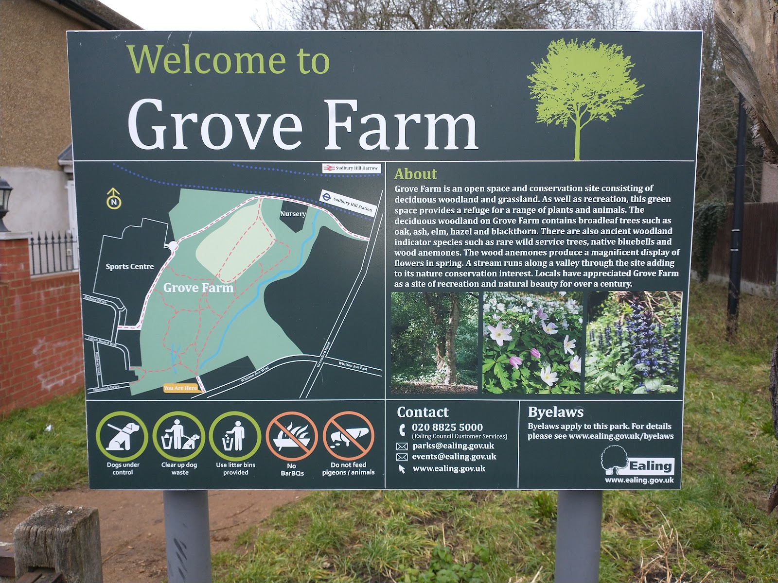 Grove Farm, Ealing