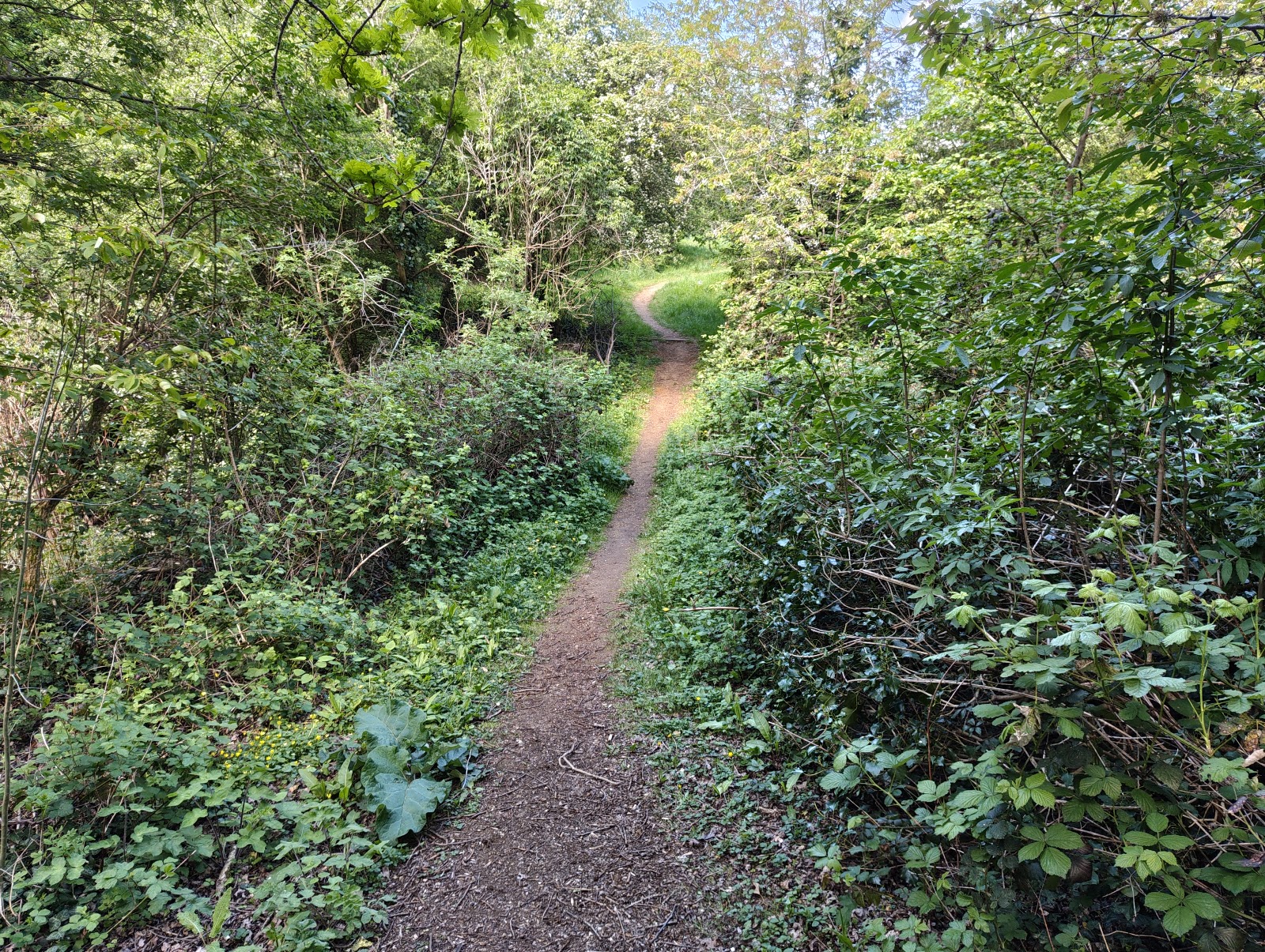 Grove Farm, Ealing