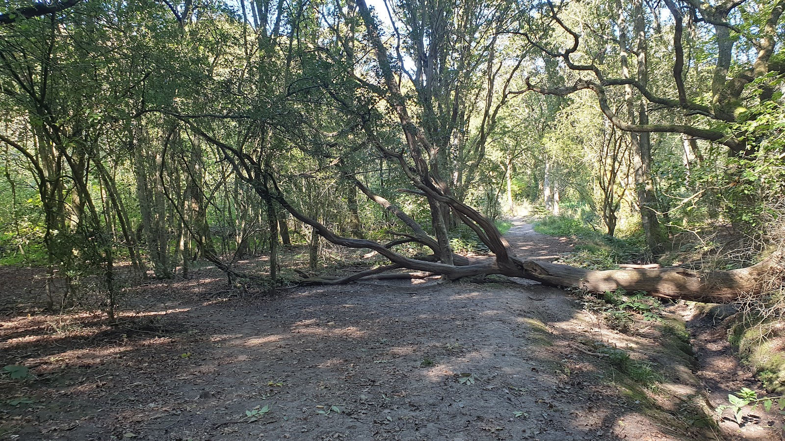 Hainault Lodge Nature Reserve — Source image