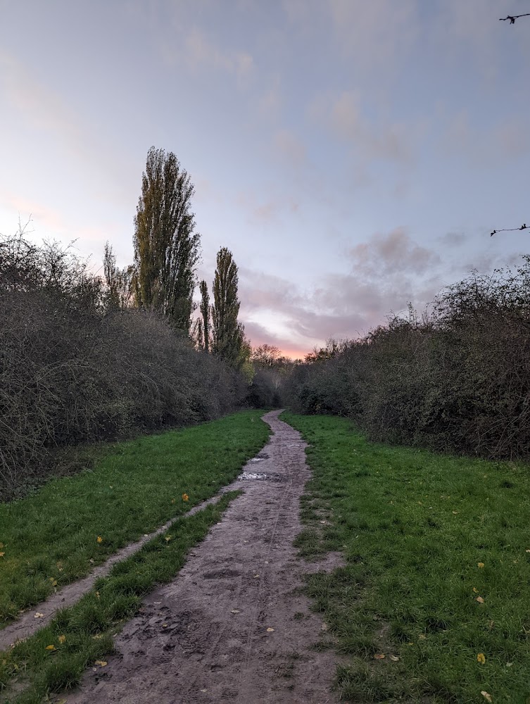 Ham Lands Local Nature Reserve — Source image