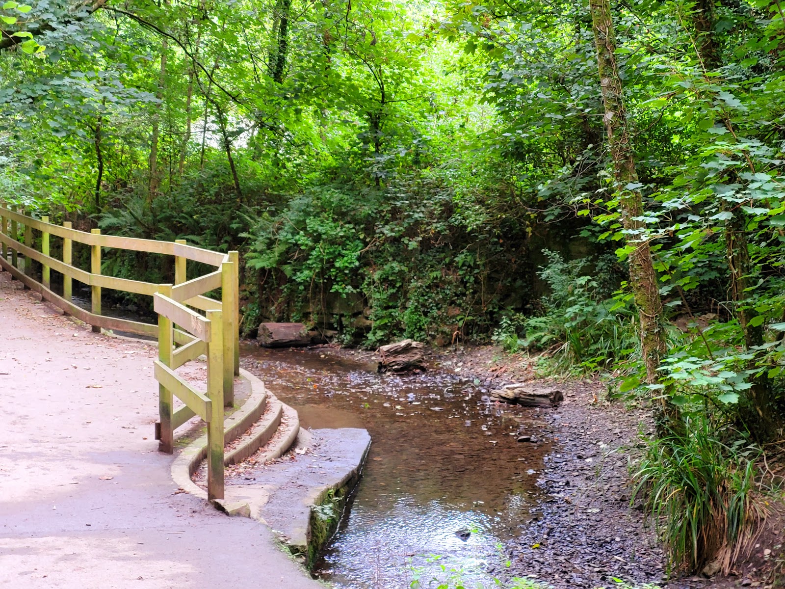 Ham Woods Local Nature Reserve — Place photograph