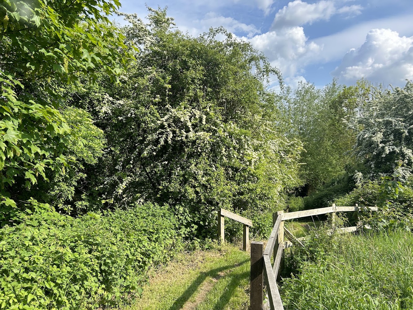 Hardings Row Nature Reserve — Source image