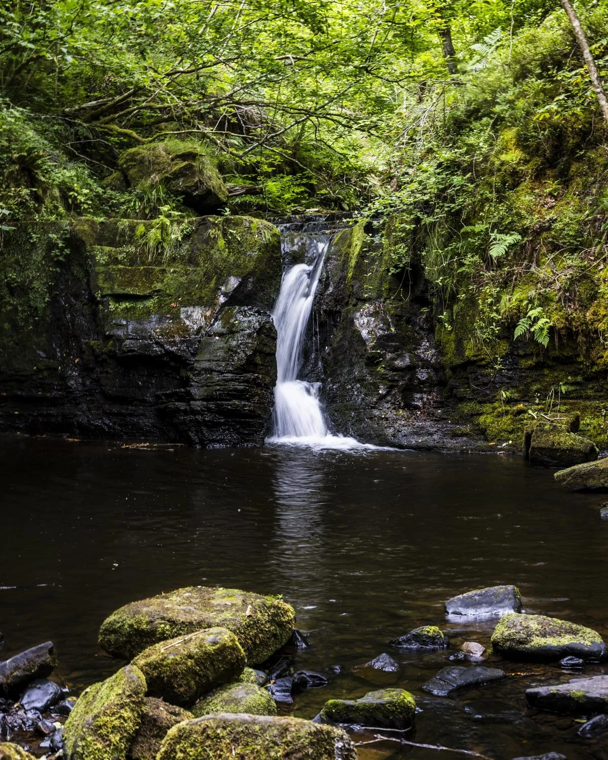 Hareshaw Linn