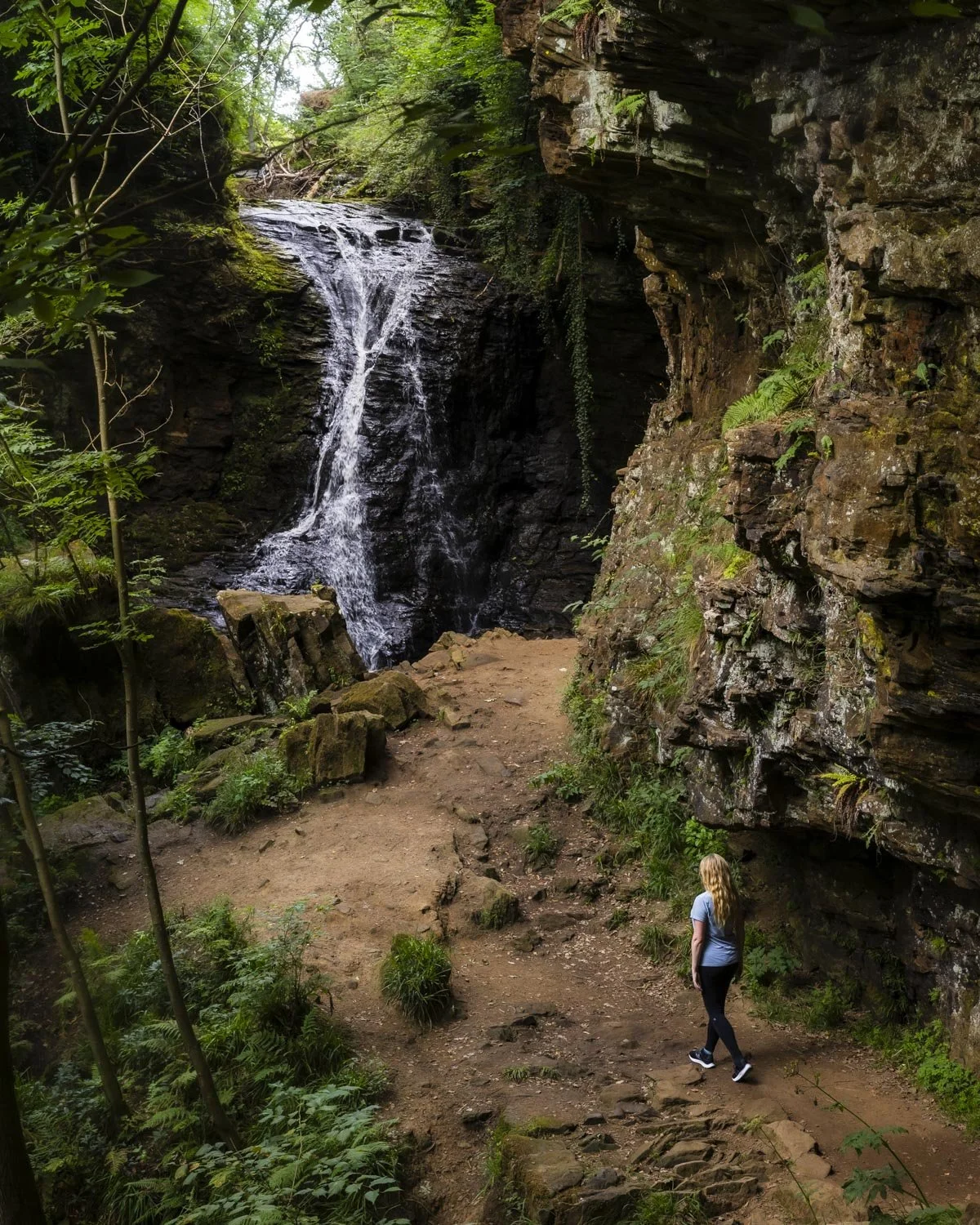 Hareshaw Linn