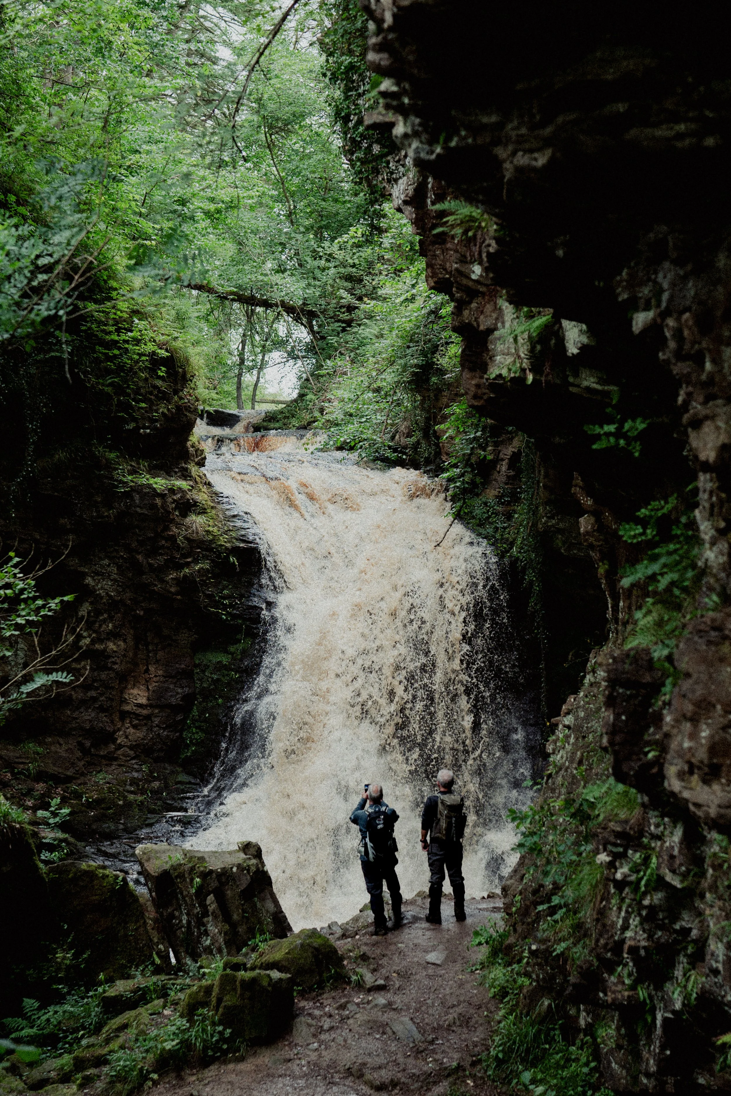 Hareshaw Linn