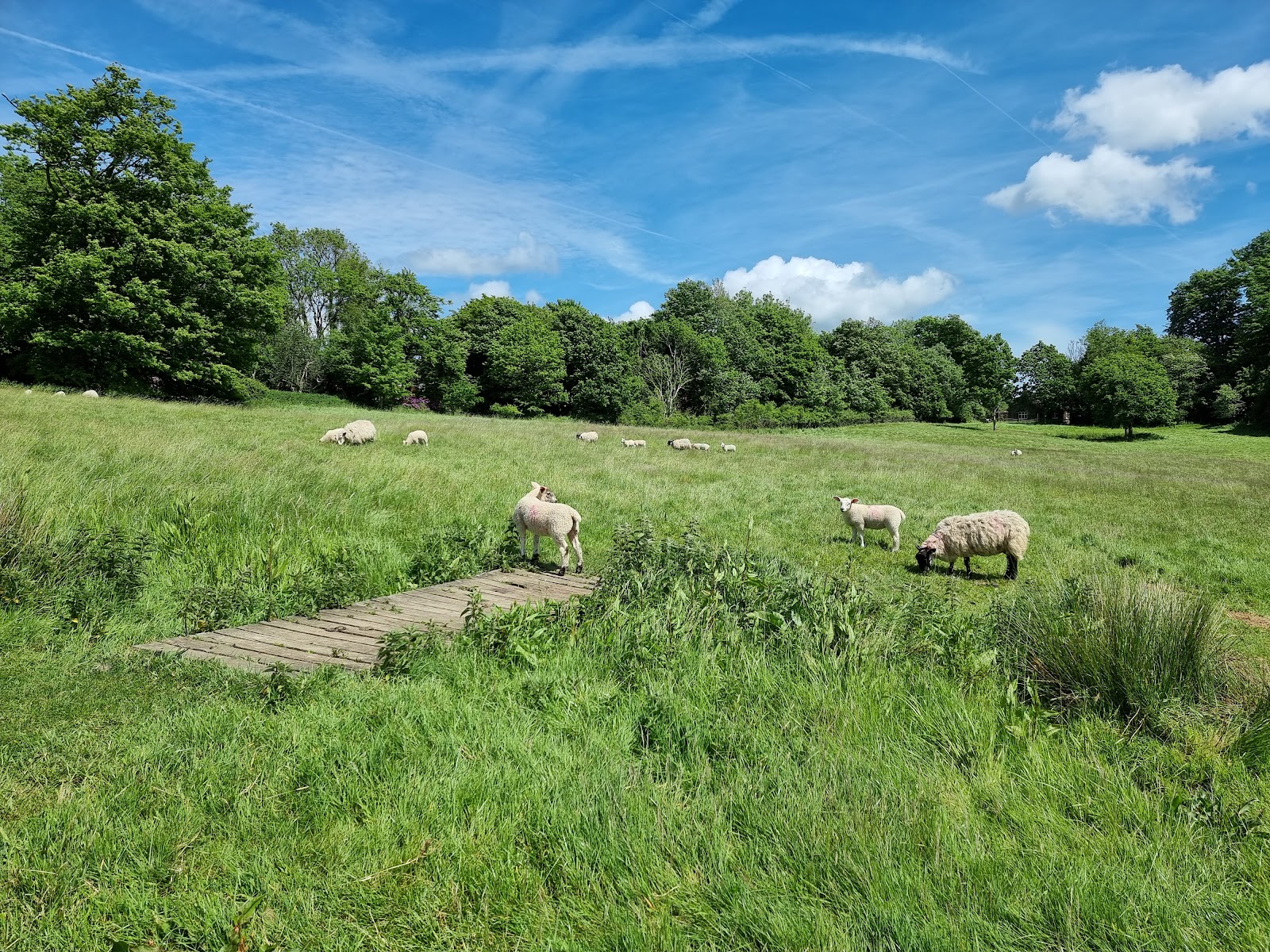 1066 Battle of Hastings, Abbey and Battlefield — Place photograph