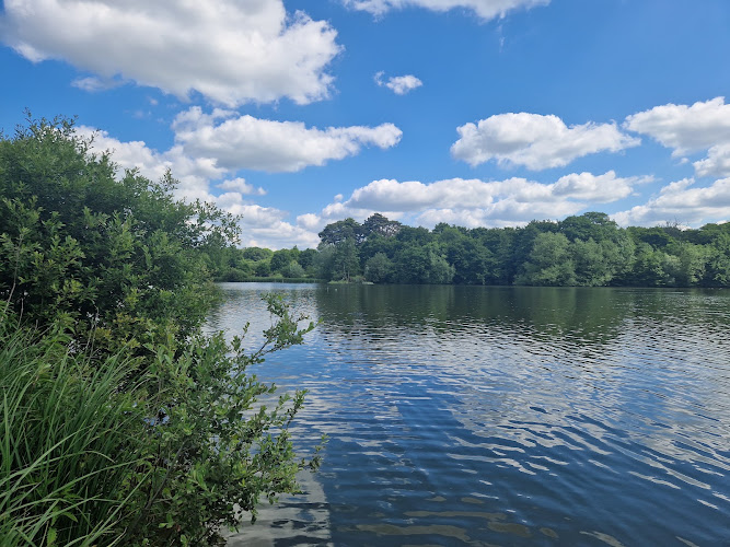 Hatfield Forest — Source image