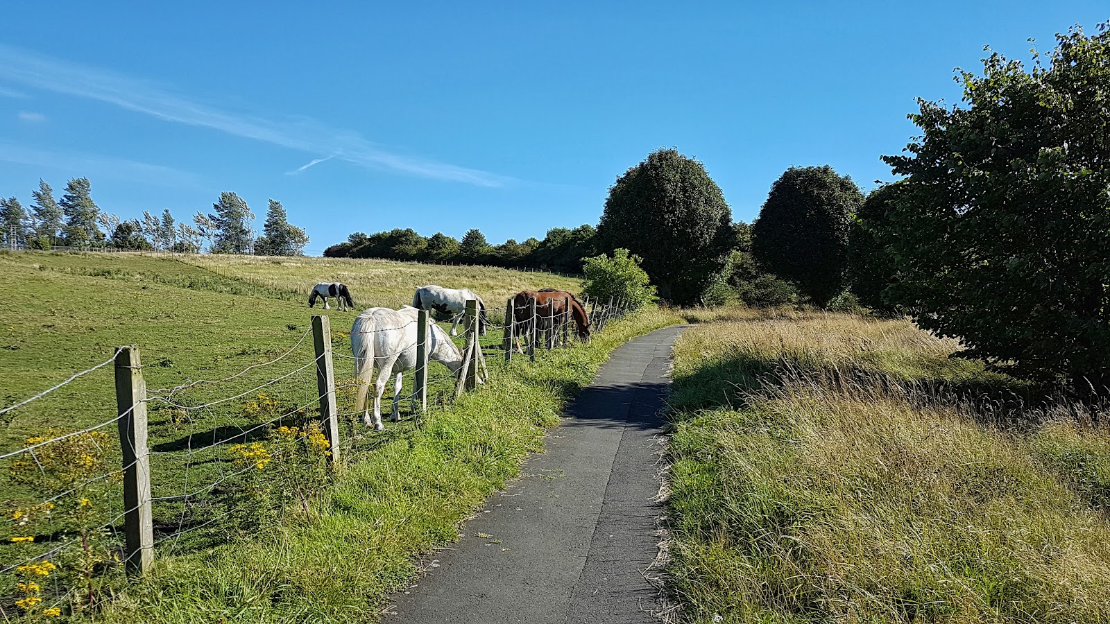 Hebburn Riverside Park — Place photograph