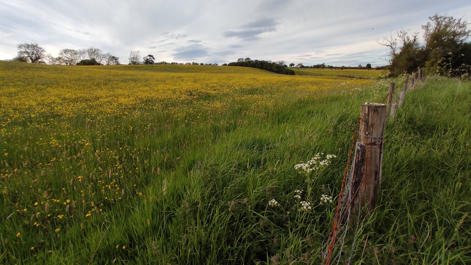 Hedleyhope Fell Nature Reserve Loop — Place photograph