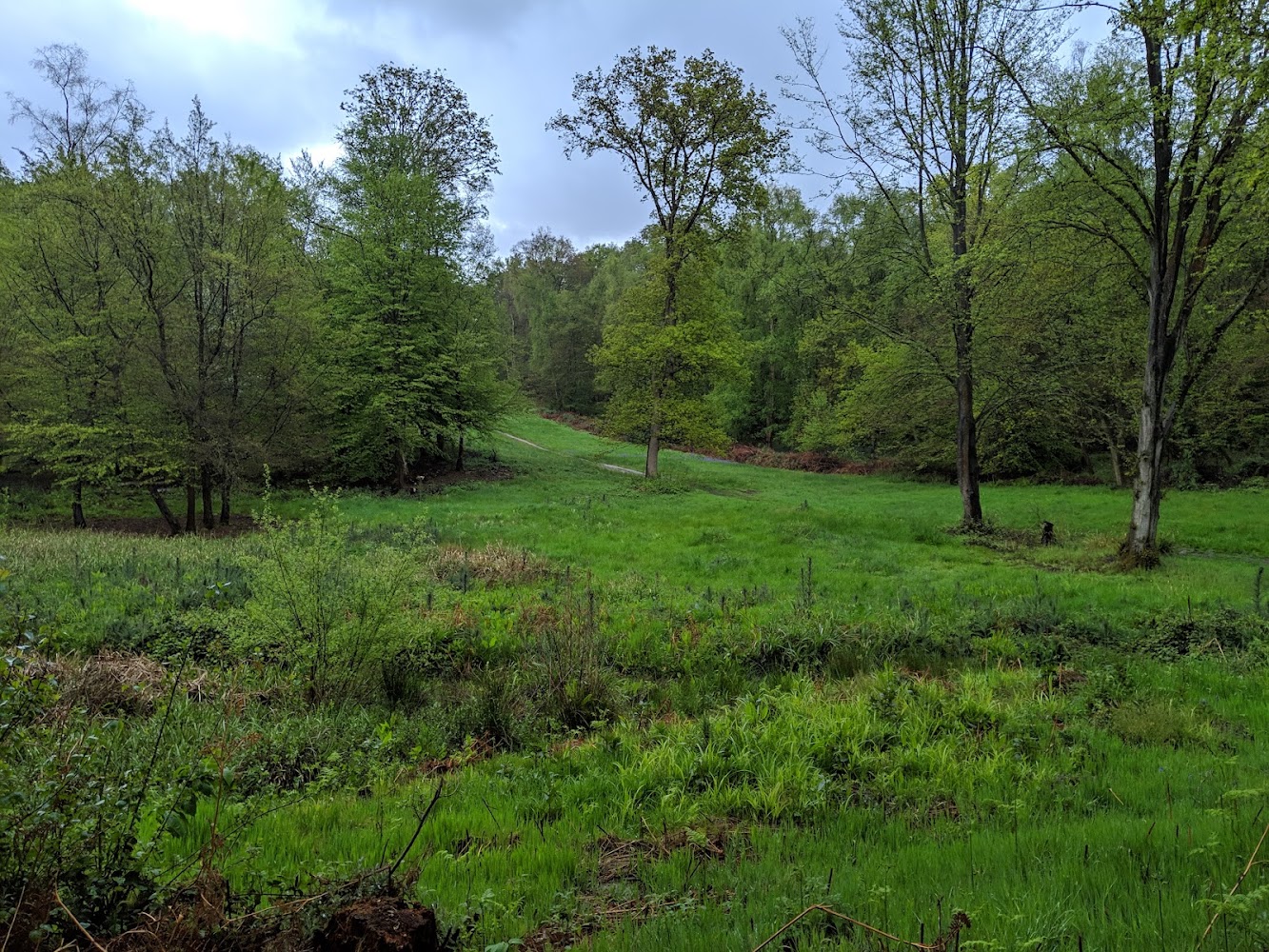 Hertford Heath Nature Reserve — Source image