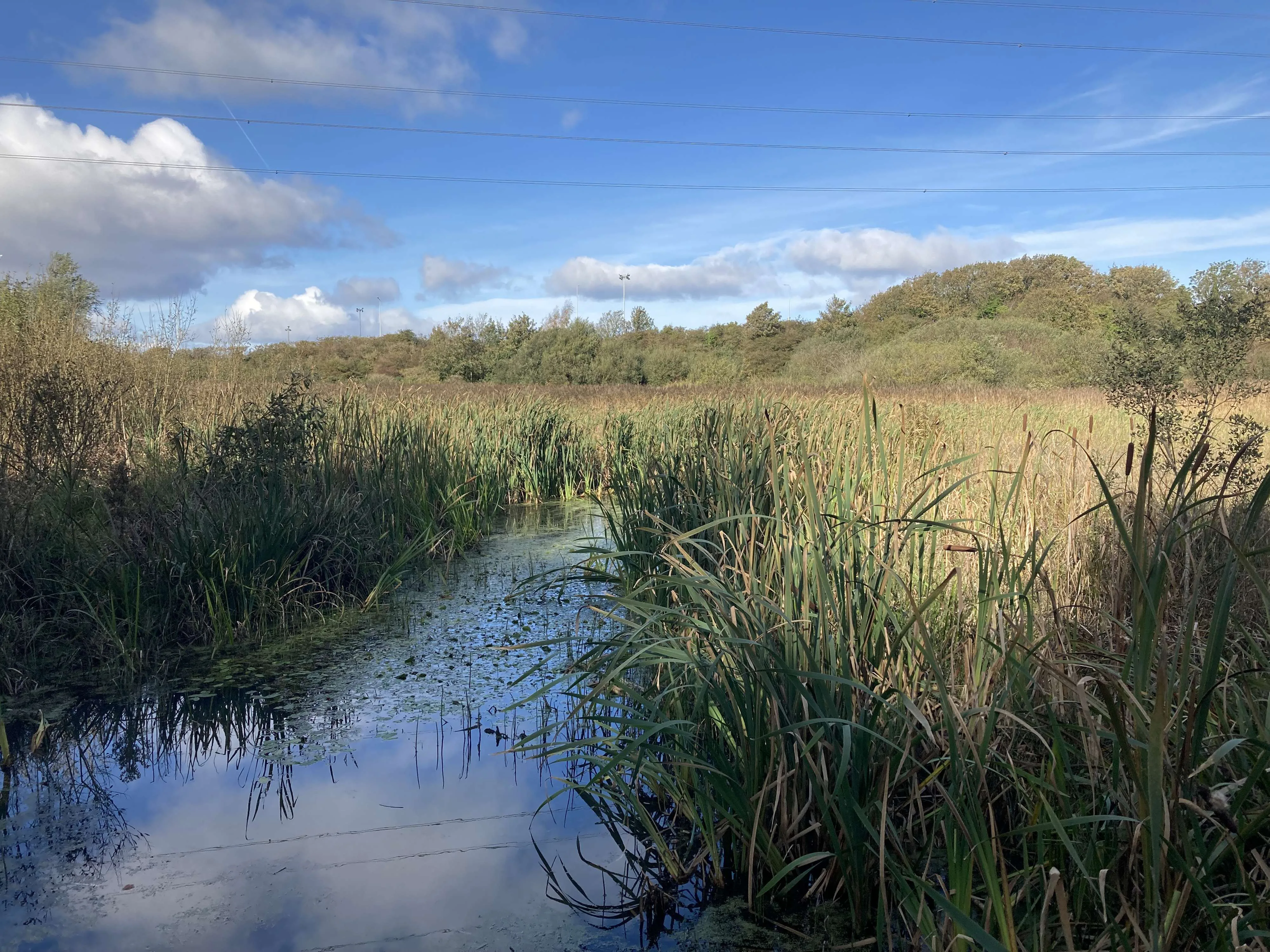 Heysham Nature Reserve — Place photograph
