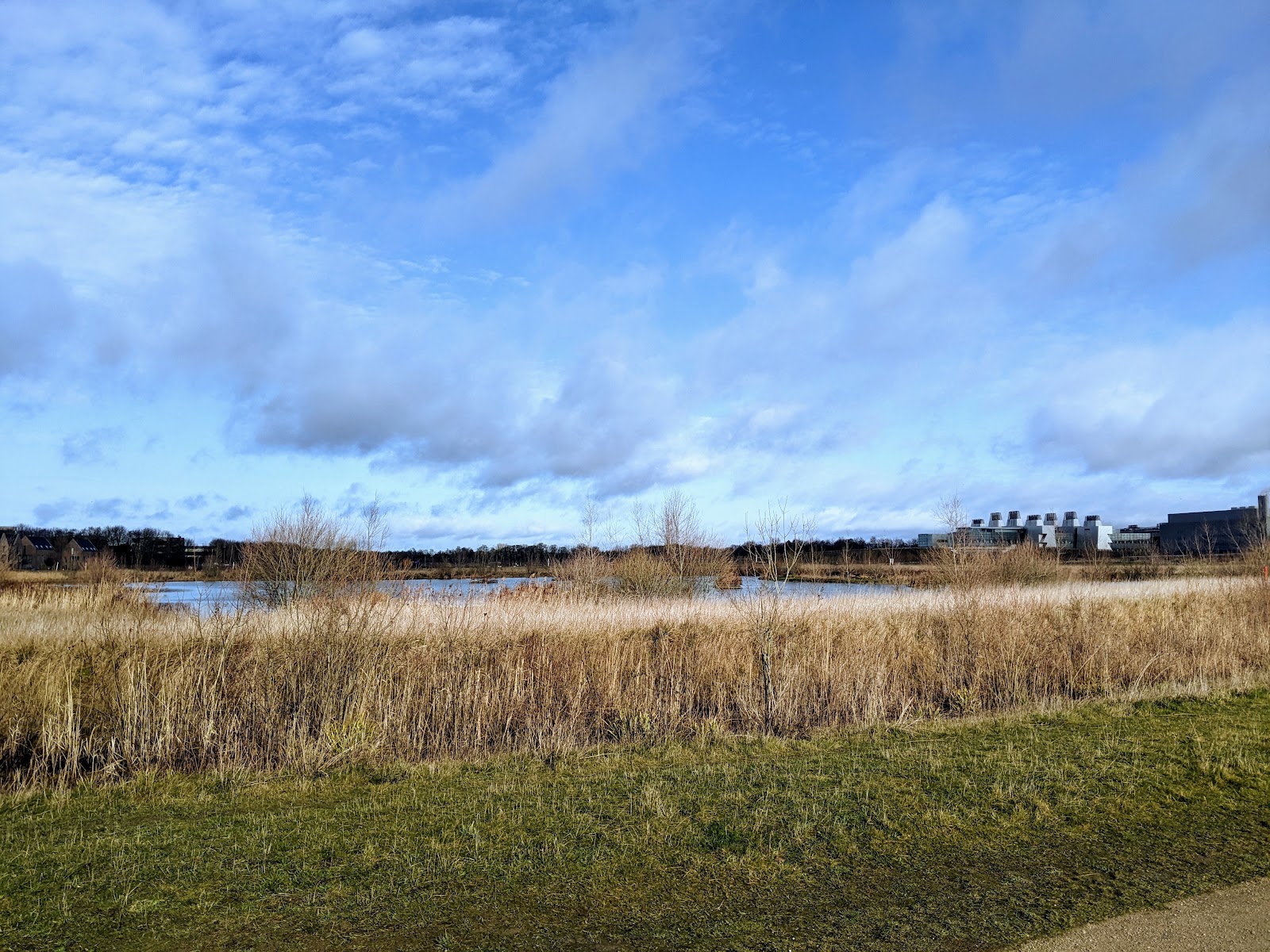 Hobson's Park Bird Reserve
