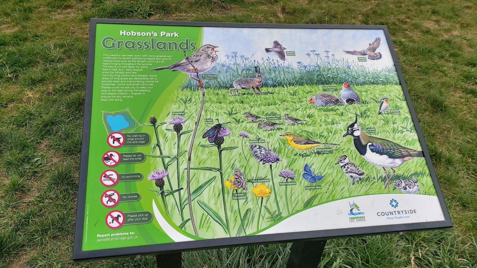 Hobson's Park Bird Reserve