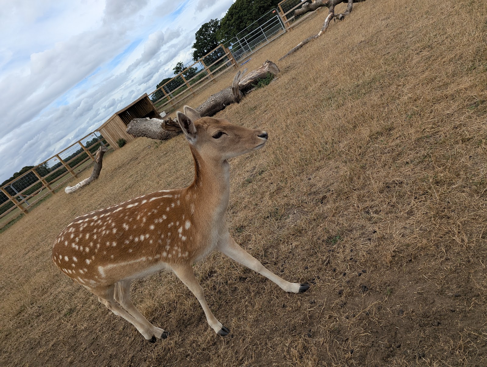Holmes Chapel Zoo — Place photograph