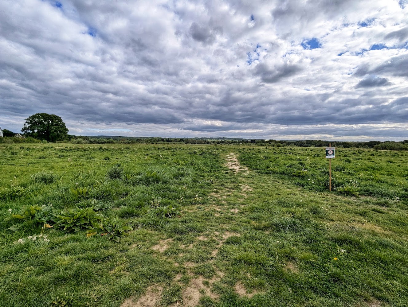 Horsley Meadows — Source image