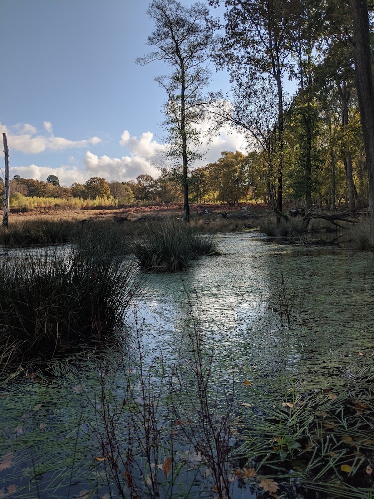 Hothfield Heathlands Nature Reserve — Source image
